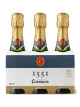 Cava Codorniu 1551 Brut Benjamin Pack 3 unidades